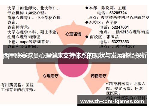 西甲联赛球员心理健康支持体系的现状与发展路径探析