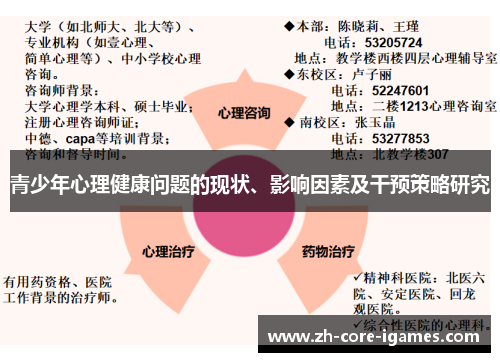 青少年心理健康问题的现状、影响因素及干预策略研究