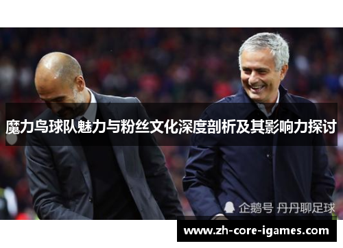 魔力鸟球队魅力与粉丝文化深度剖析及其影响力探讨